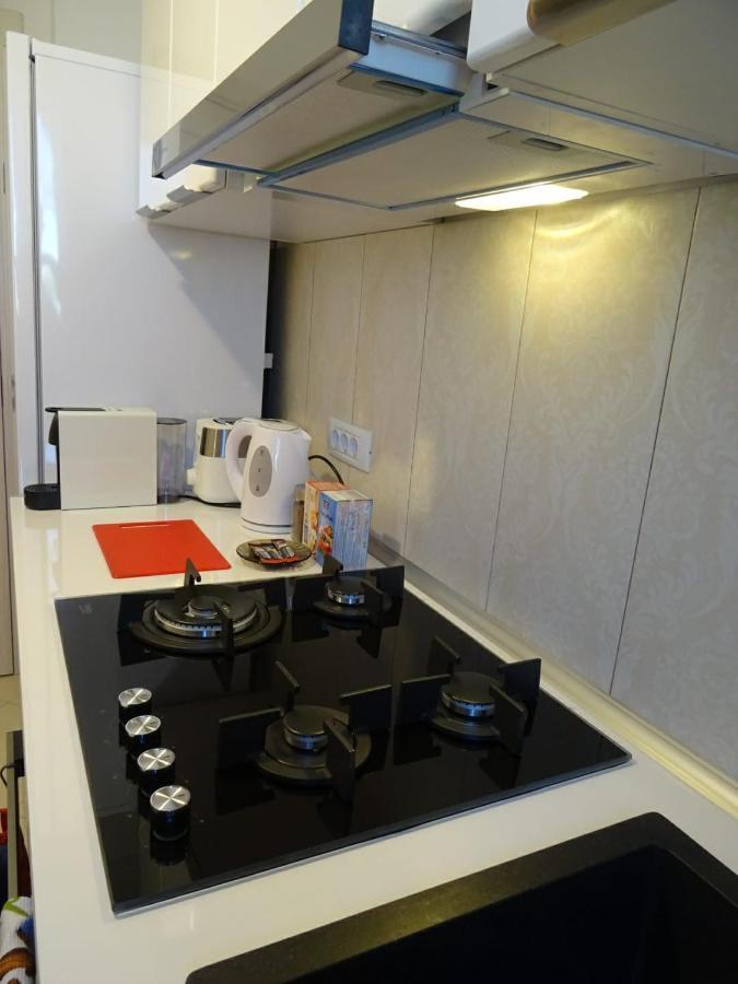 Carla's Palas-hala Centrala 1 Bedroom, Airport Shuttle * Iasi